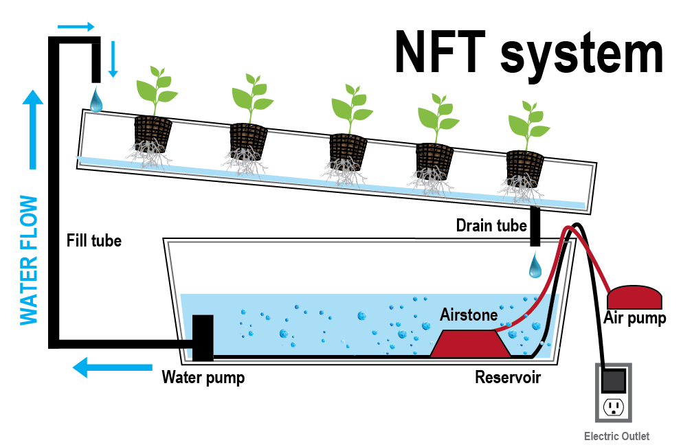 Nutrient Film Technique system