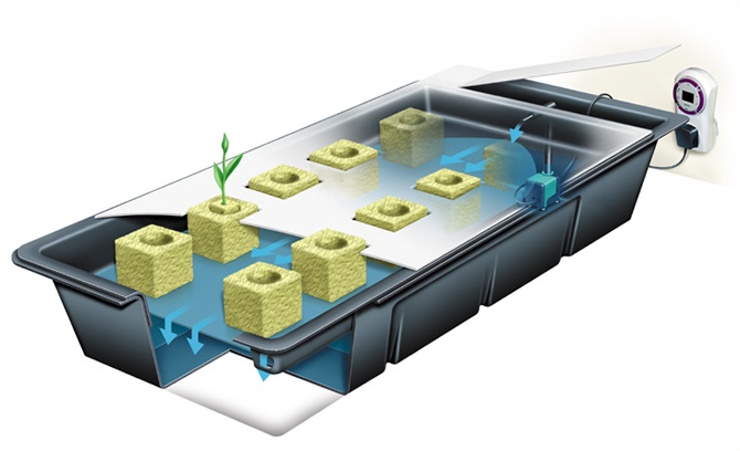 small NFT system