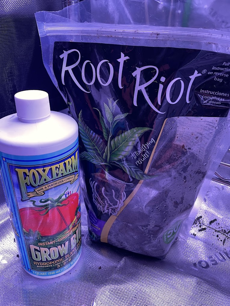 root riot