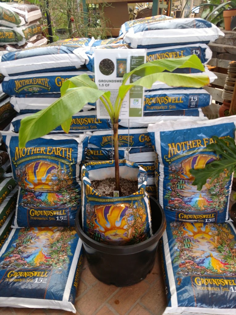 grow bags