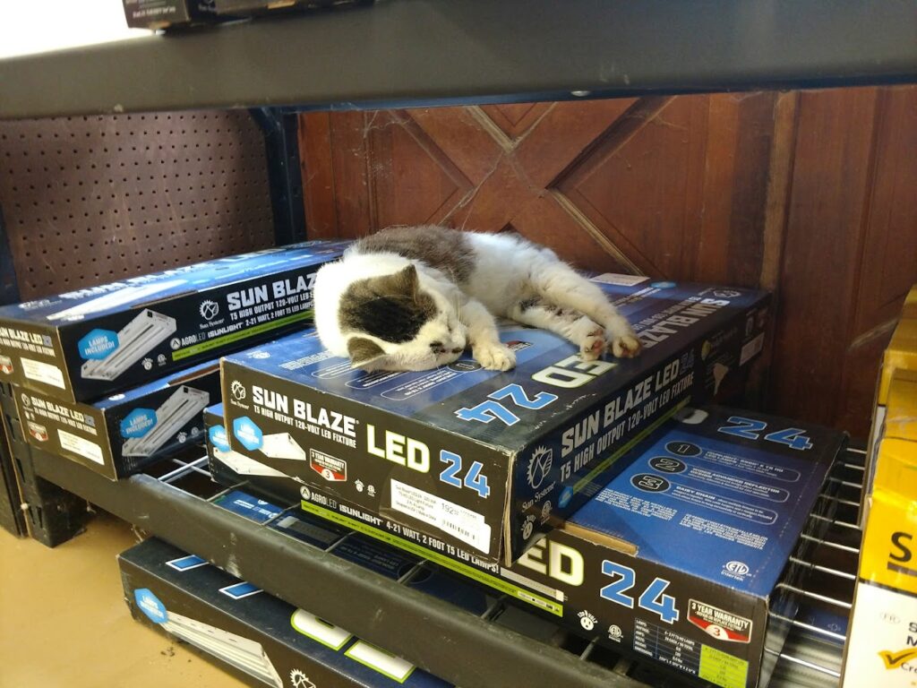 led 24